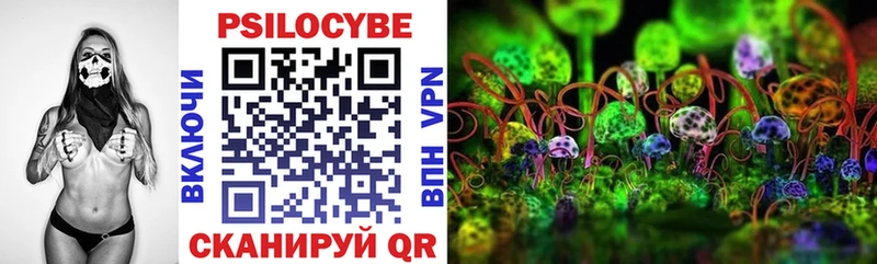 где купить наркотик Батайск Галлюциногенные грибы Cubensis