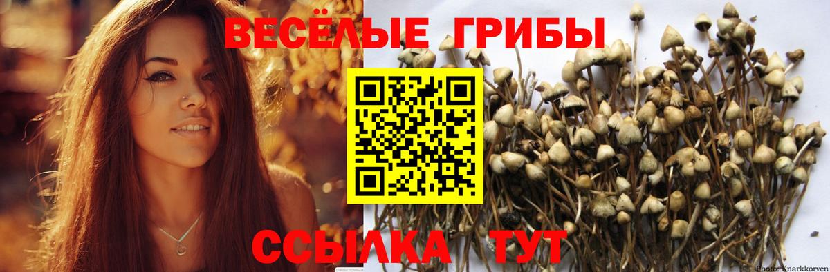 купить   Галлюциногенные грибы прущие грибы  Батайск  Вход с VPN  Галлюциногенные грибы MAGIC MUSHROOMS 